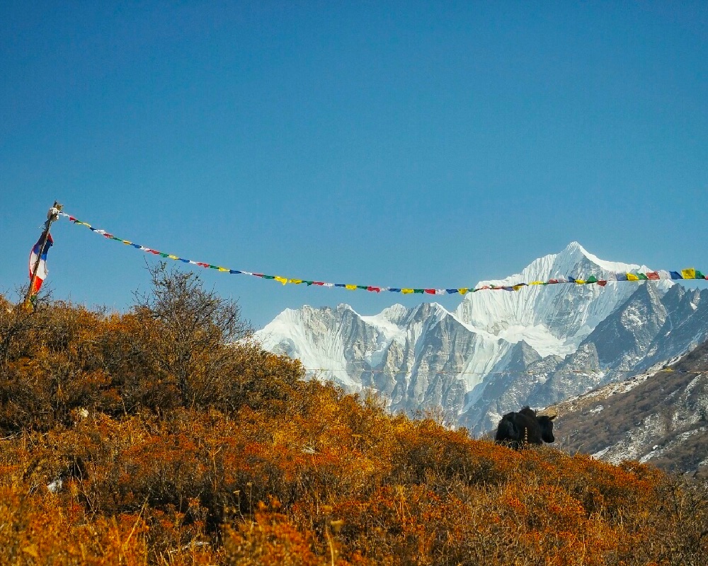 langtang trek 4 days