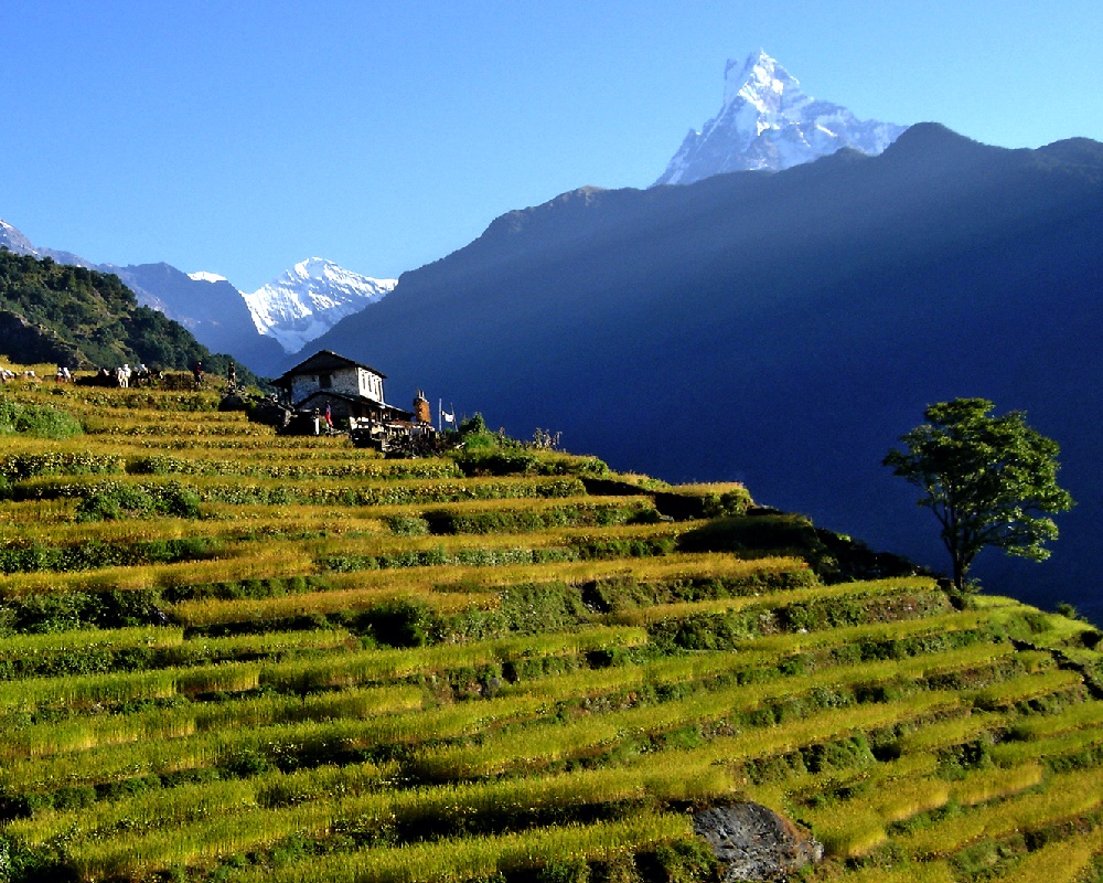 nepal tourism in august