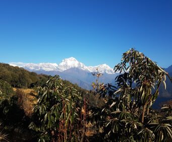 Ghorepani Poon Hill Trek