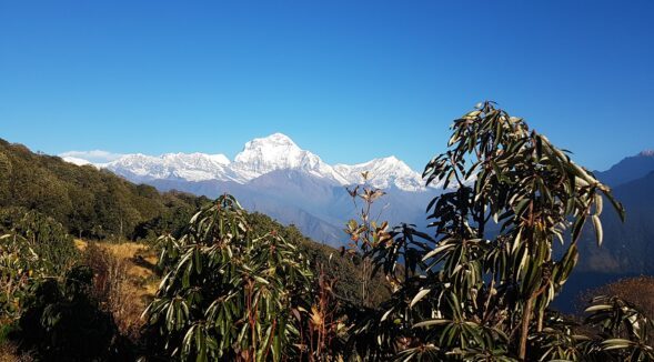 Ghorepani Poon Hill Trek