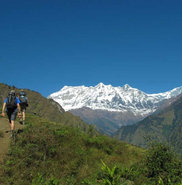 Kanchenjunga Circuit Trek