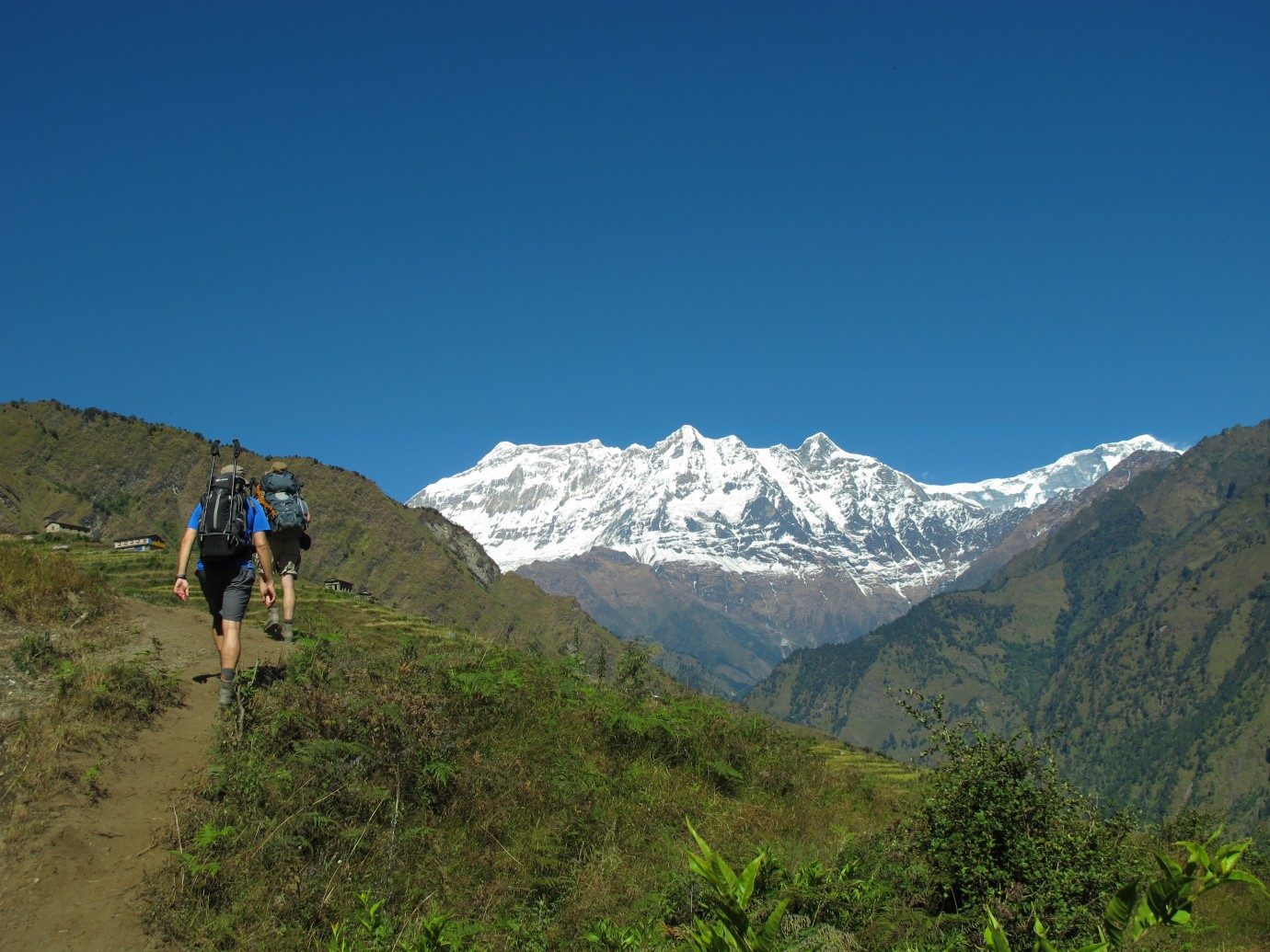 Kanchenjunga Circuit Trek