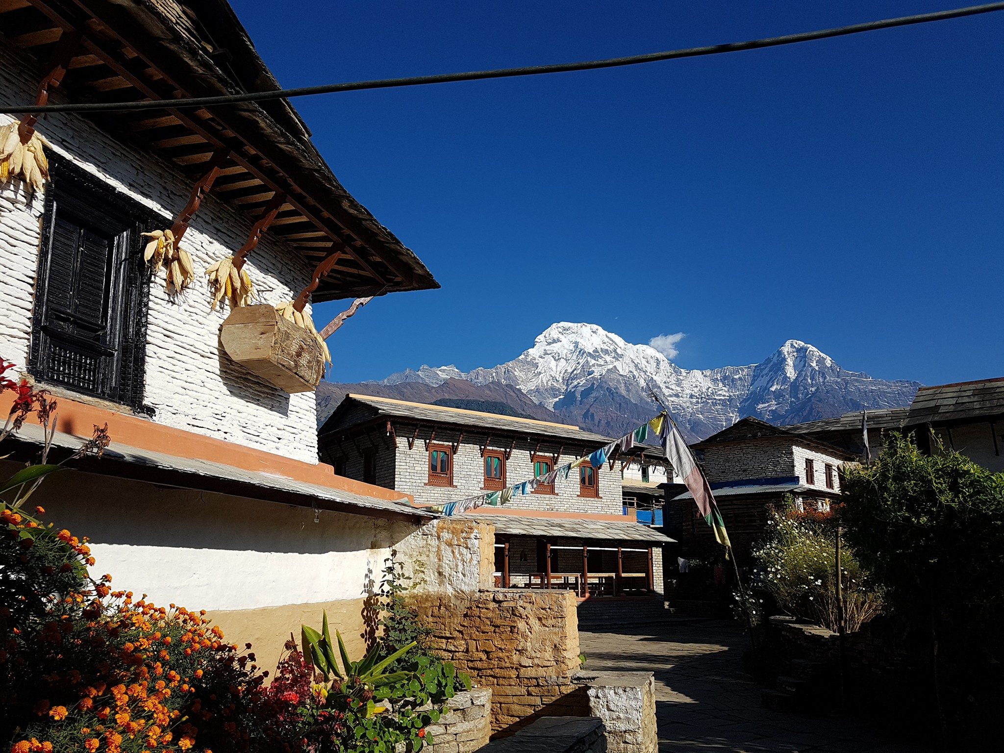 Khopra Danda Trek