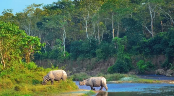 Chitwan Wildlife Safari