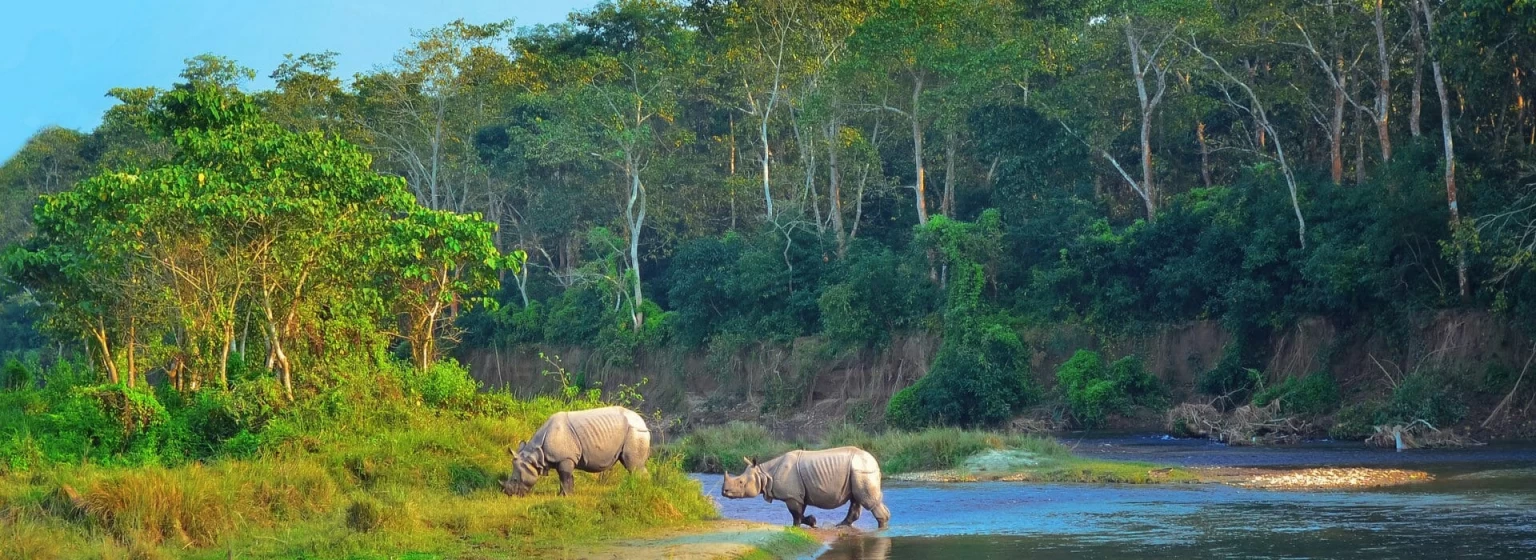 Chitwan national park safari-1536