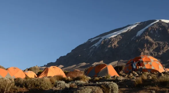 Kilimanjaro lemosho trek