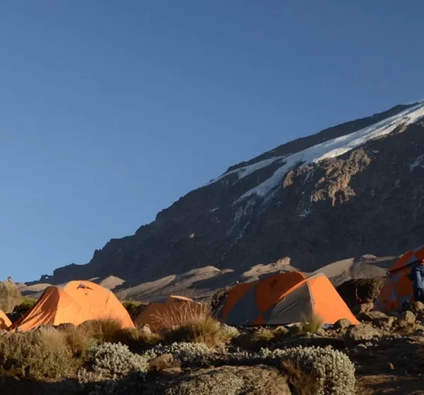 Kilimanjaro Trip - Lemosho Route