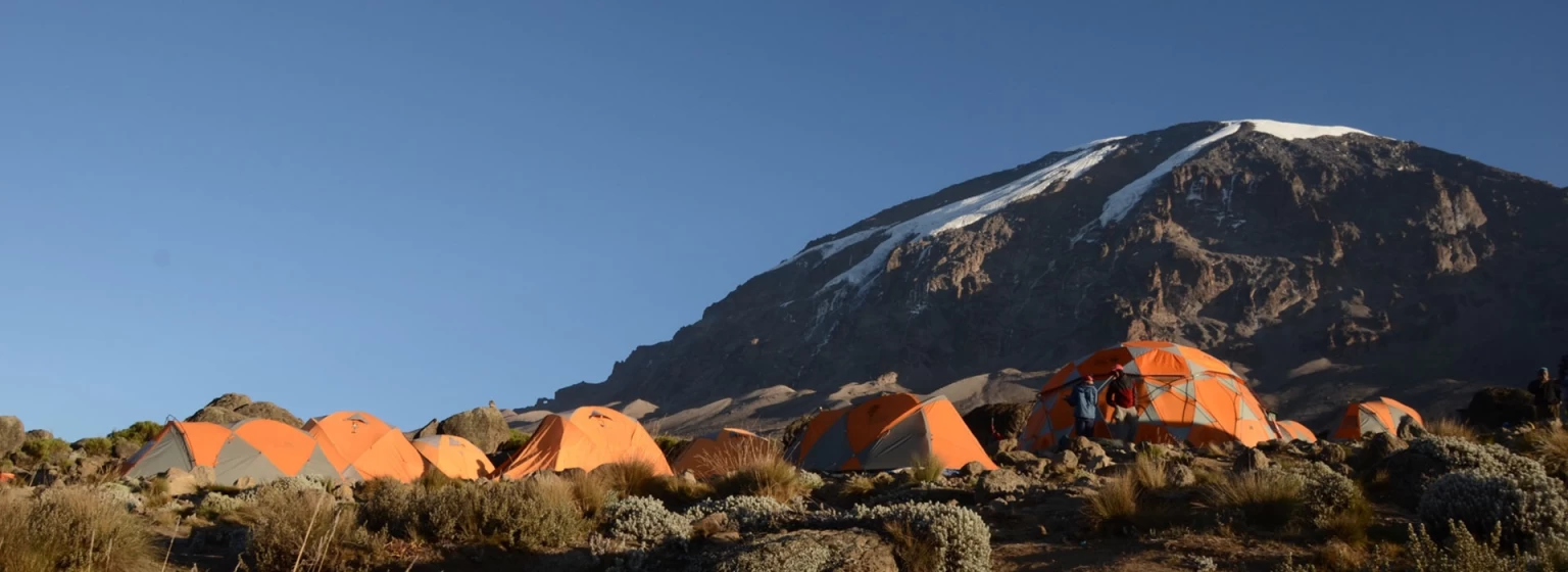 Kilimanjaro lemosho trek