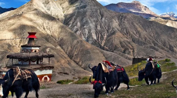 Upper Dolpo Trek