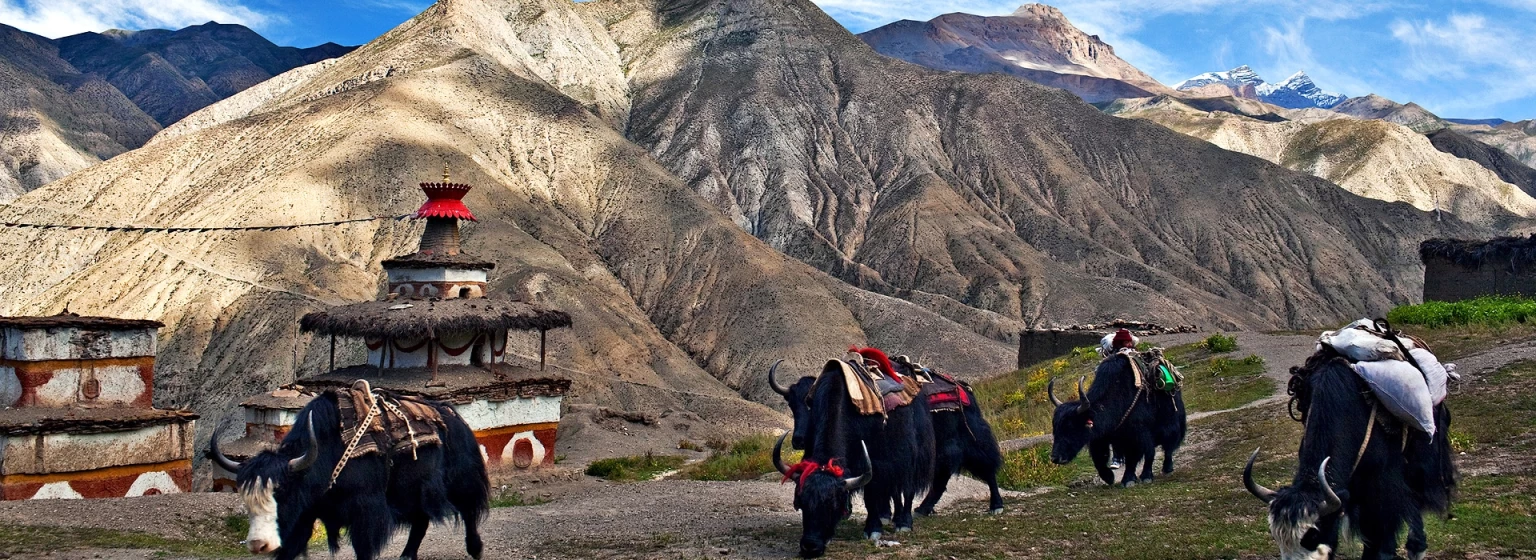 Upper dolpo trek nepal